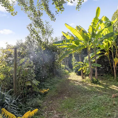 Egner- Apt-caretta By Interhome * Muralto