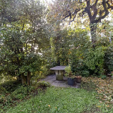 Διαμέρισμα Egner- Apt-caretta By Interhome Muralto