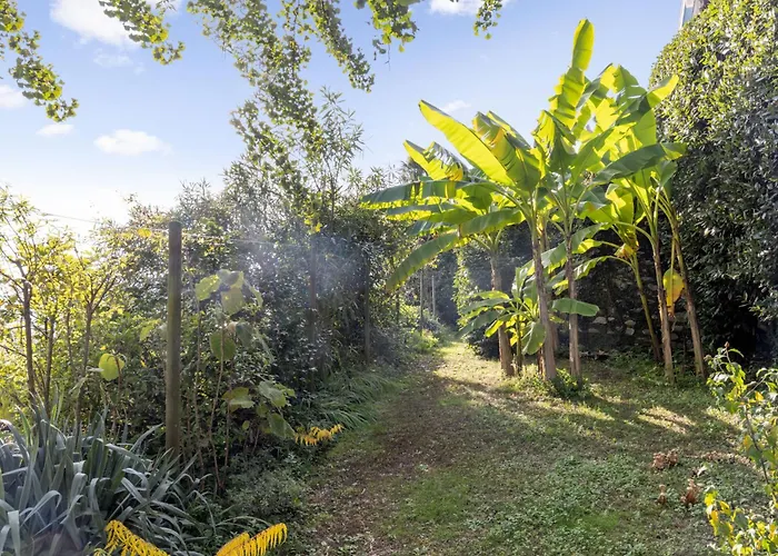 Egner- Apt-caretta By Interhome * Muralto