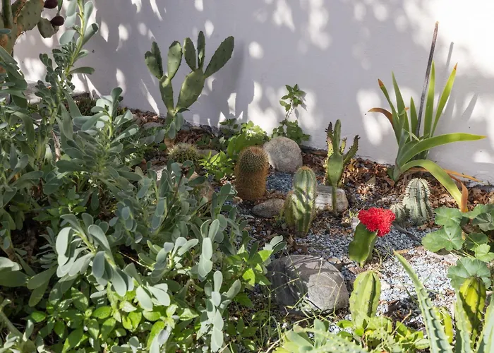 Apartmán Egner- Apt-caretta By Interhome Muralto