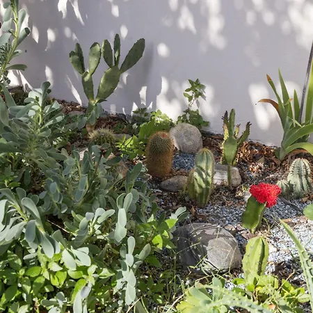 Apartamento Egner- Apt-caretta By Interhome Muralto